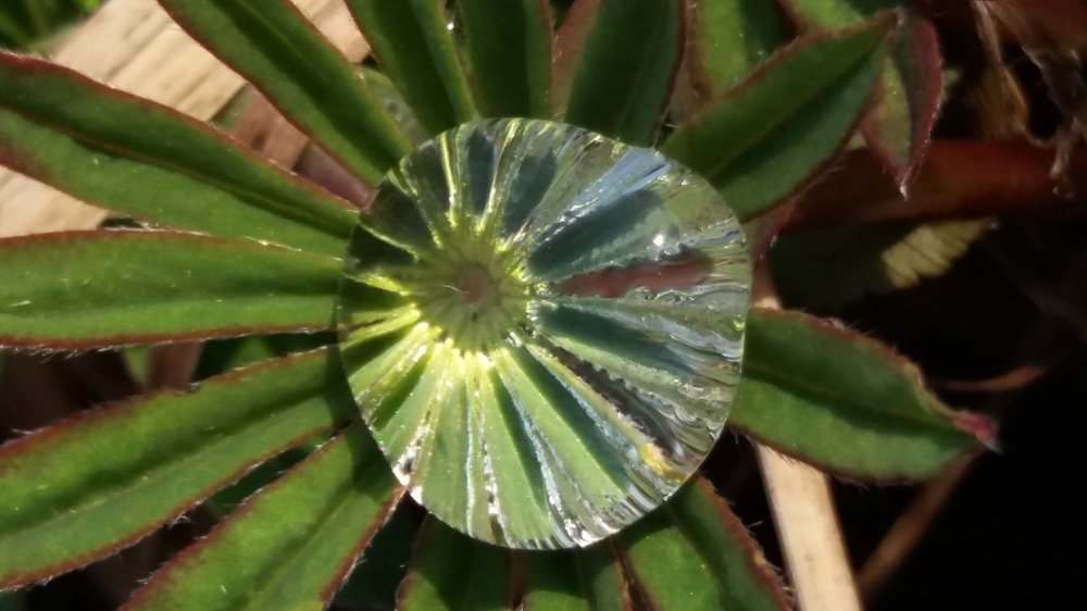 Капля дождя.