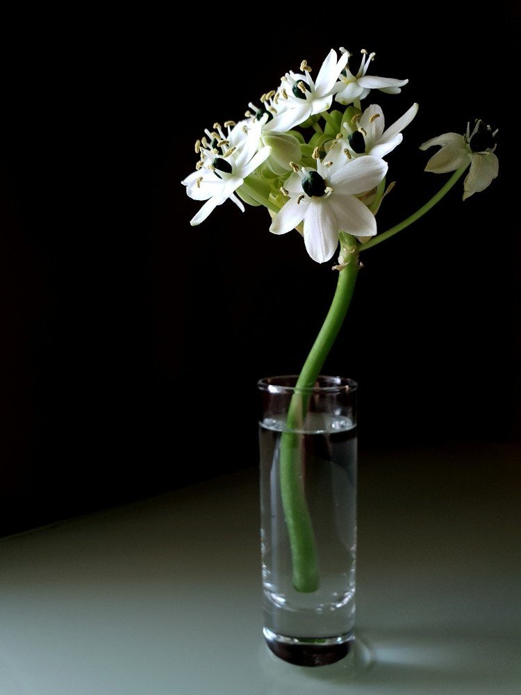 Photograph by Марианна