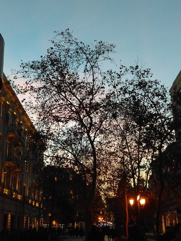 Новогодний салют