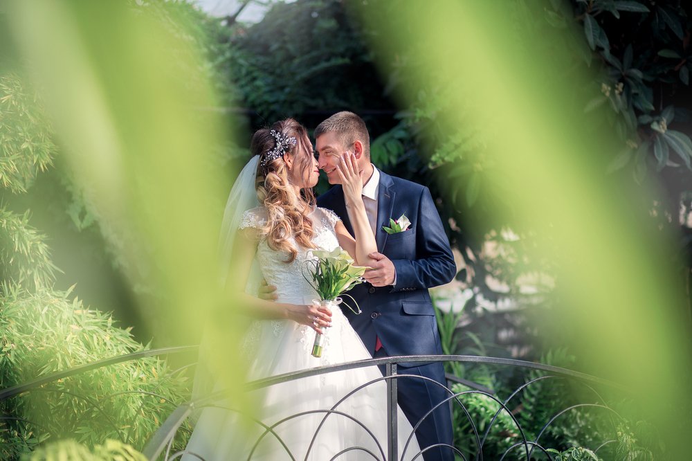 Молодожены