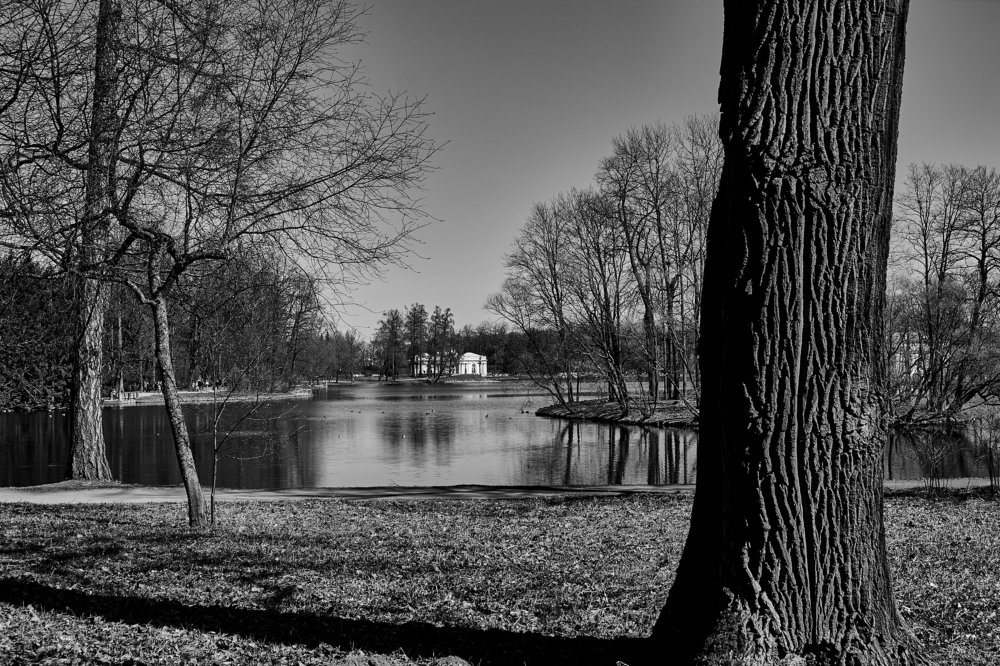 Екатерининский сад