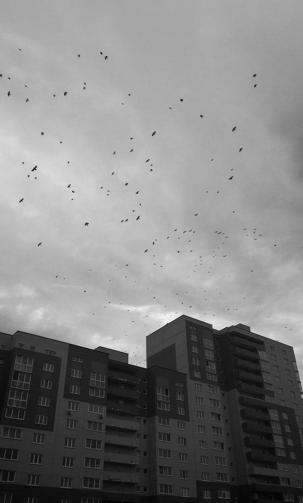 Photograph by Анастасия