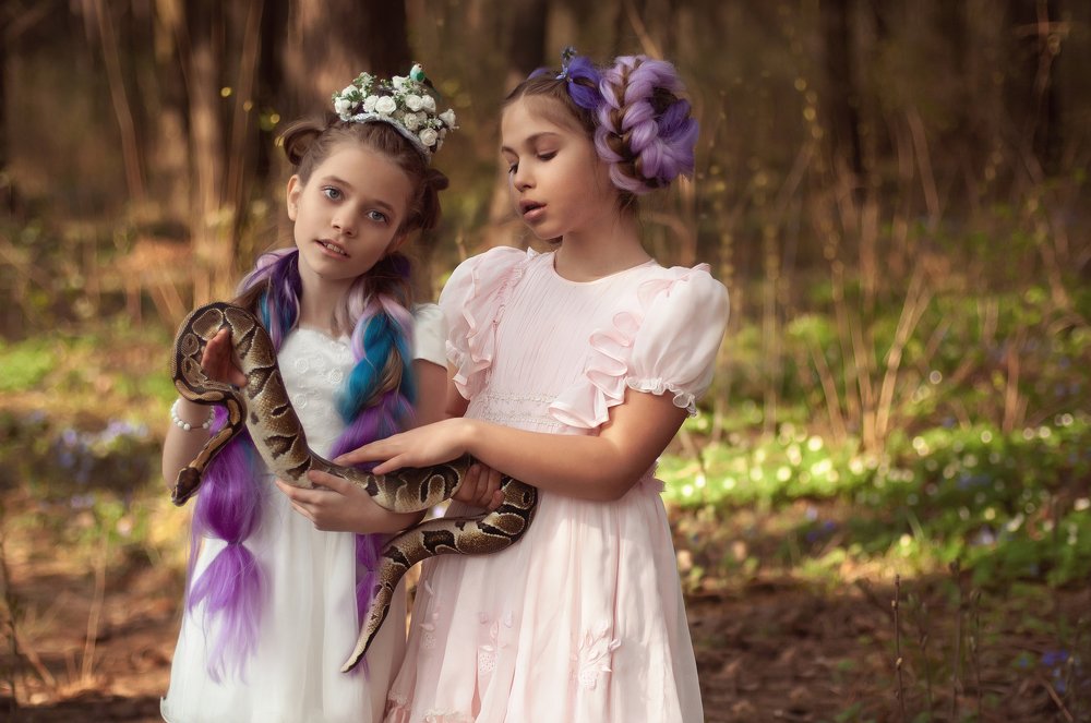 феички и змея