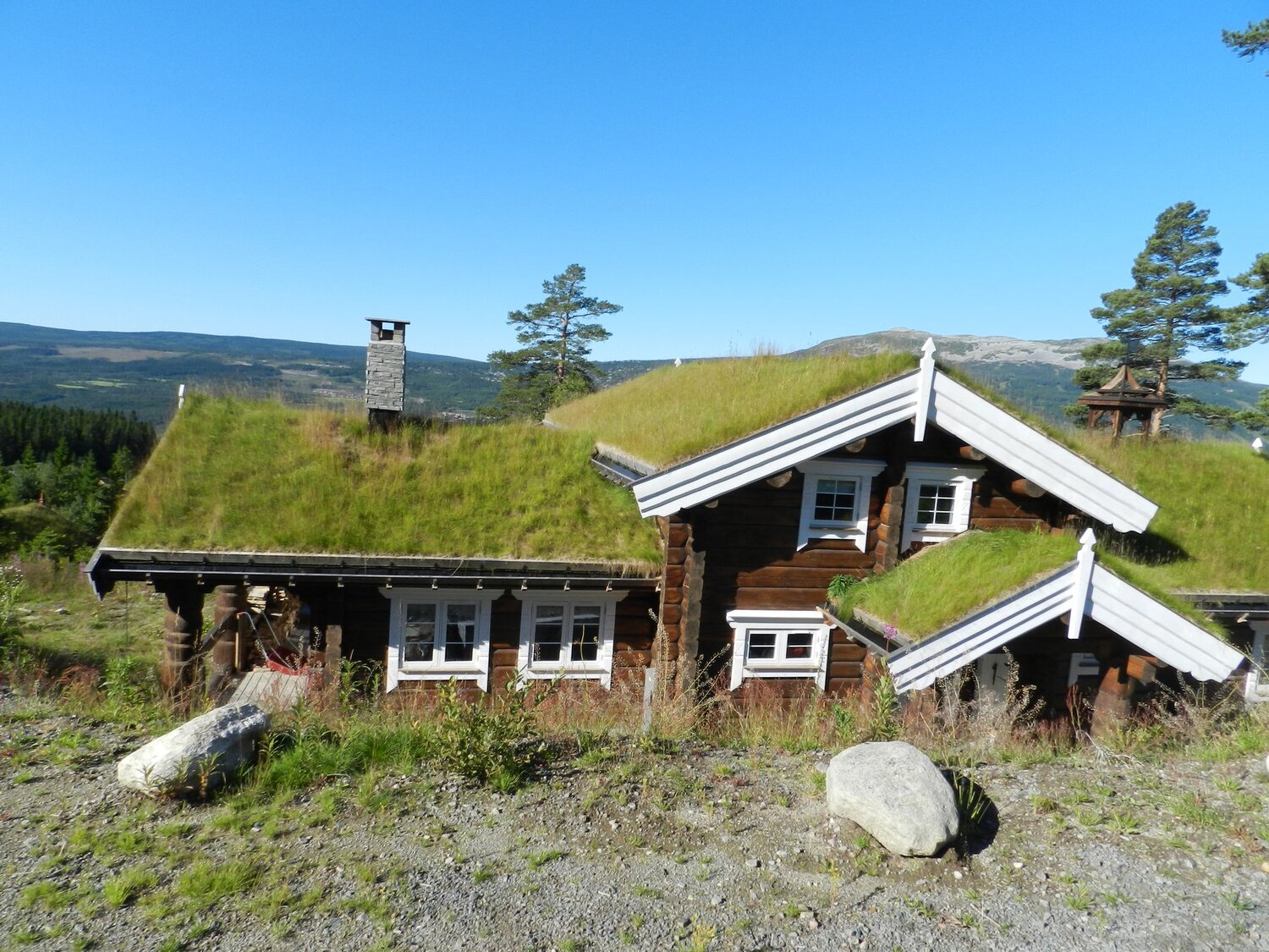 Modern Norwegian Viking House