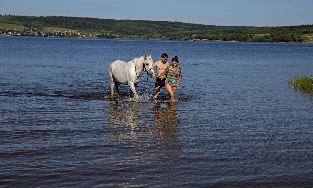 Купание белой лошади