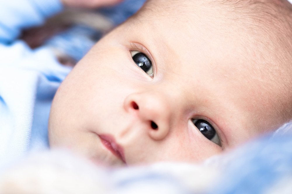 Фотография автора Светлана Климович