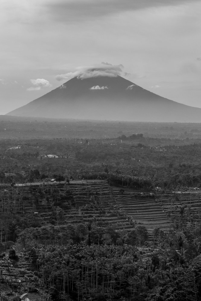 Photograph by Миша Торикашвили