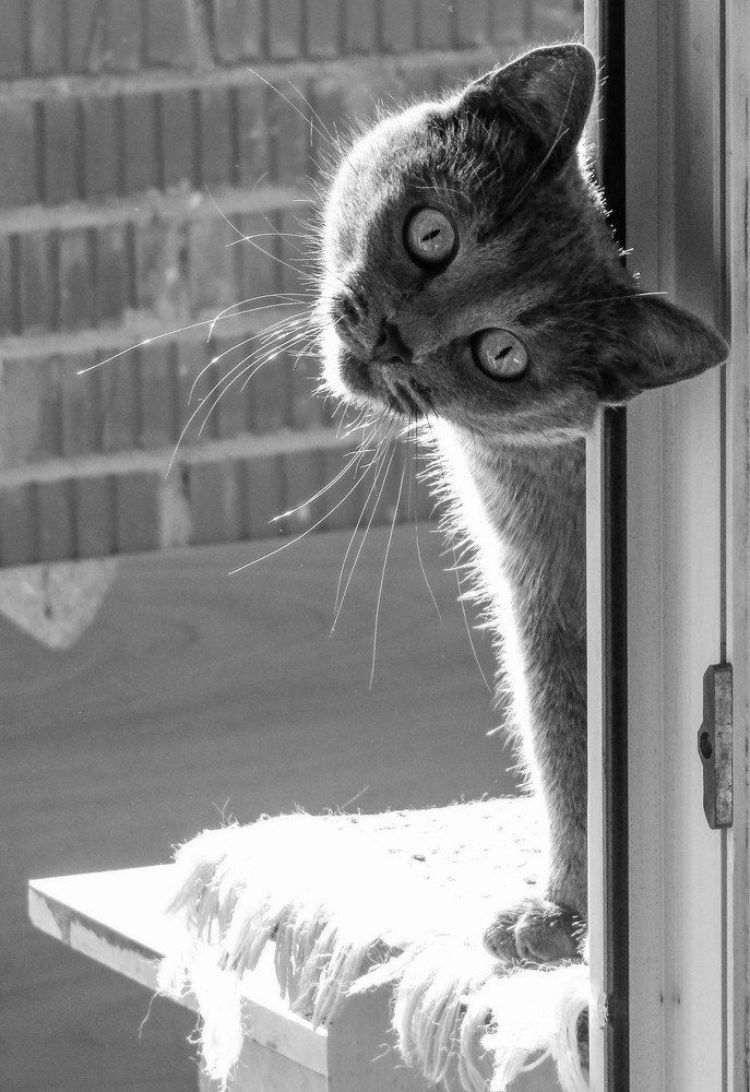 Стеснительная