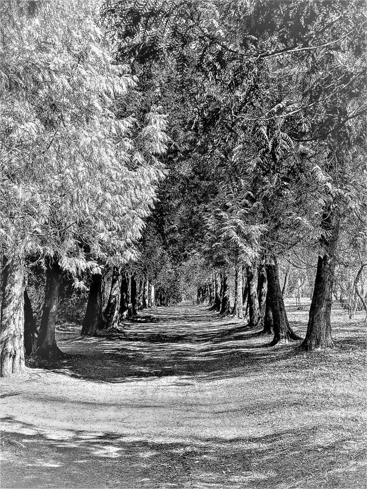 Photograph by Владимир Шнип