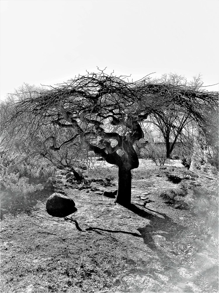 Photograph by Владимир Шнип