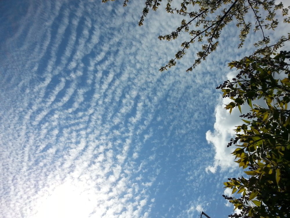Photo #3172819