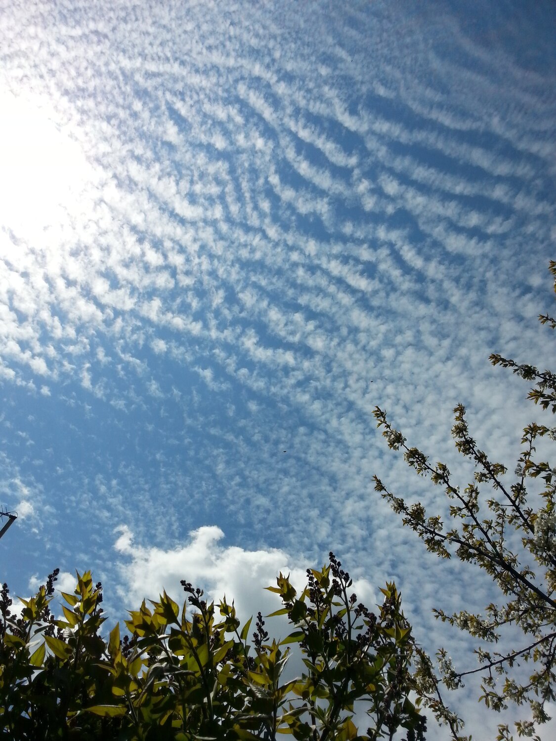 Photo #3172819