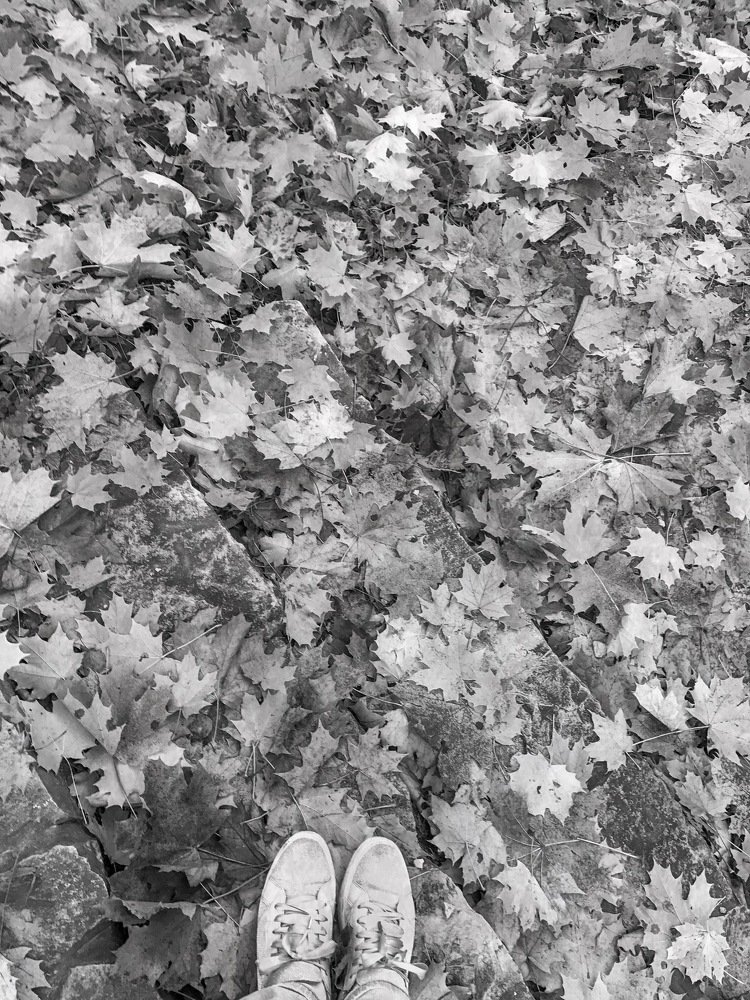 Photograph by Соня