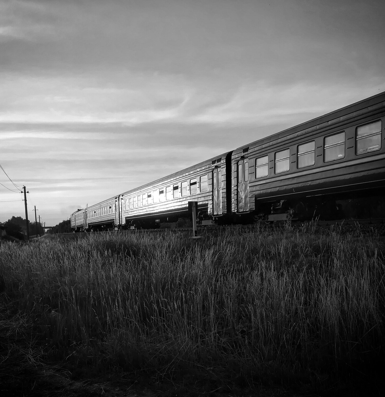 Photo #3172923