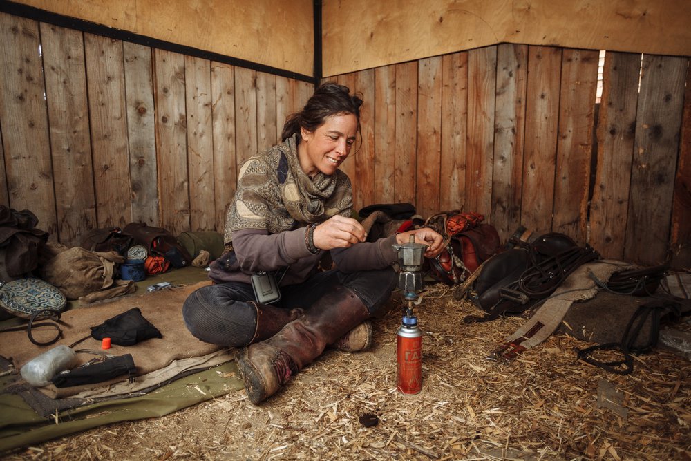 Стрела мира