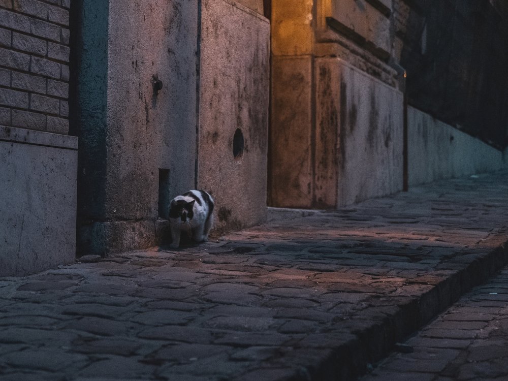 Photograph by Ярослав Топорков