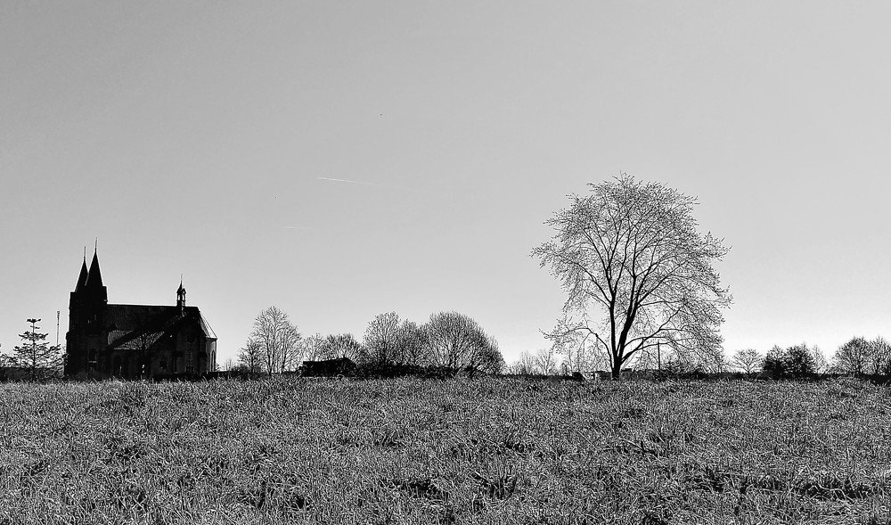 Photograph by Владимир Шнип