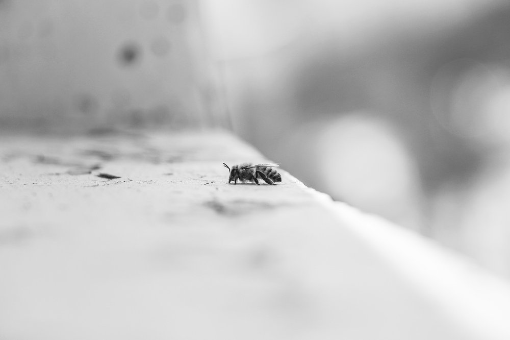 Восьмой этаж