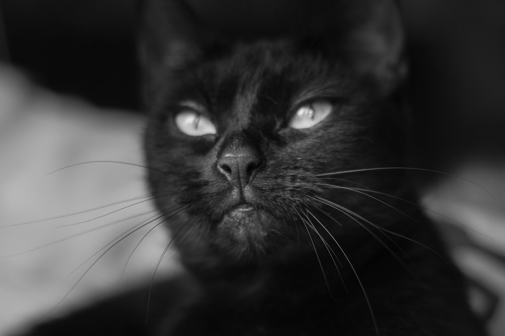 Photograph by Дмитрий Сивак