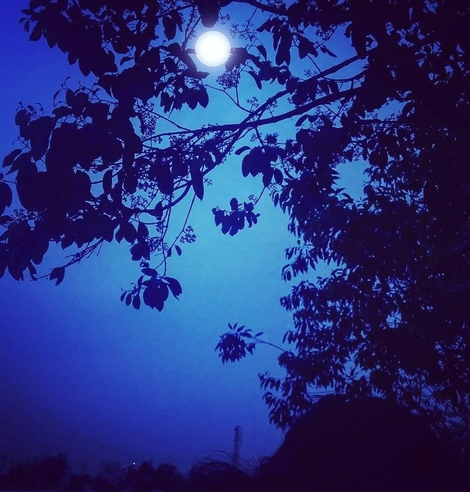 #moon melody