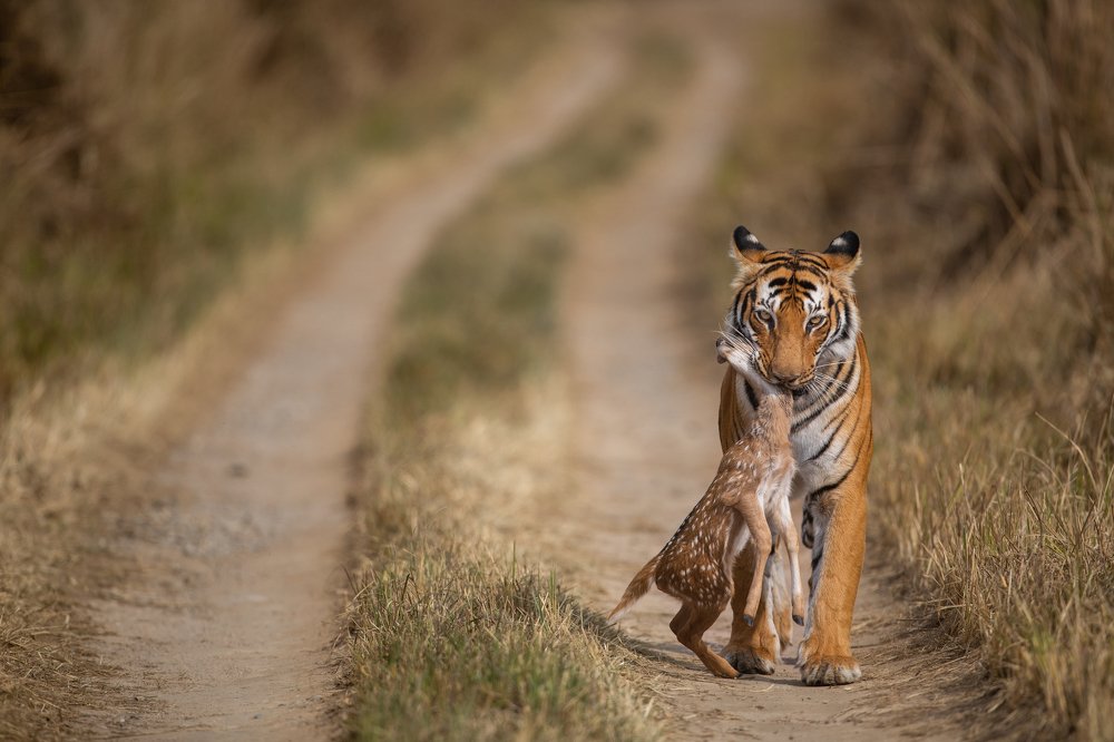 Let the nature takes its own