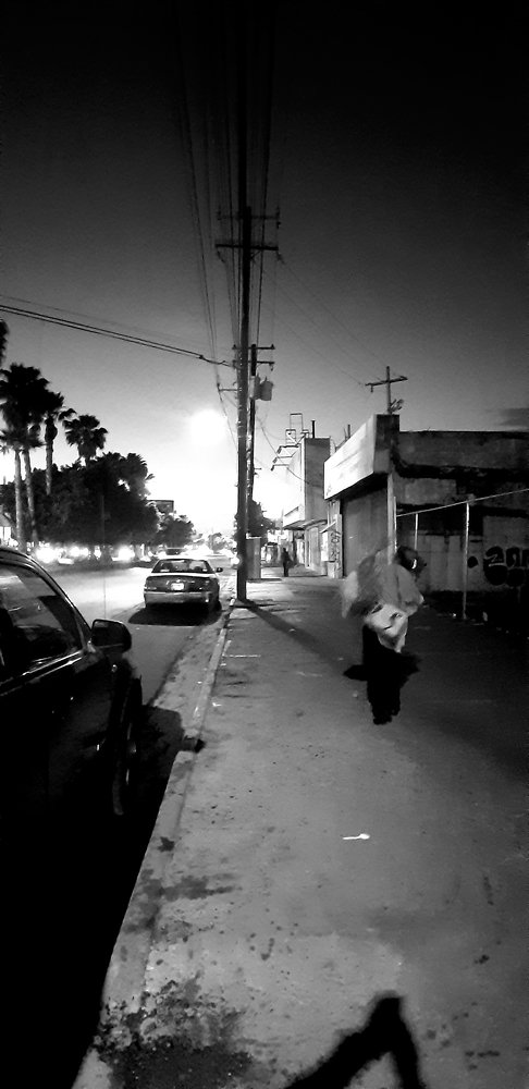 Buscando el camino