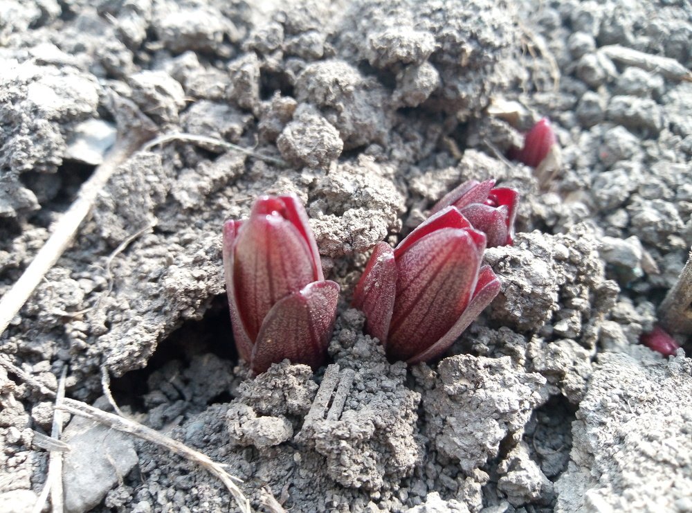 Все починається з самого низу