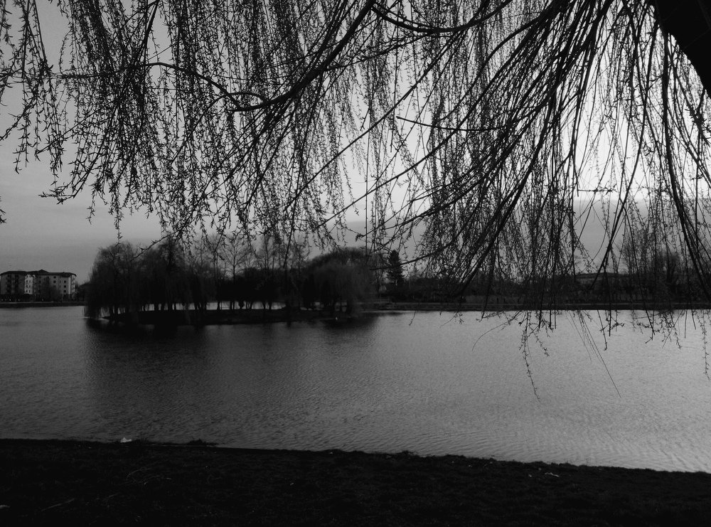 Менше кольорів більше зосередженості