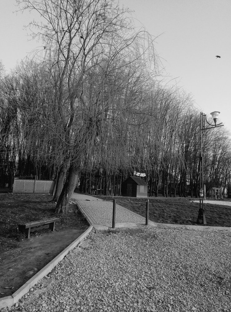 Дорога завжди кудись приводить