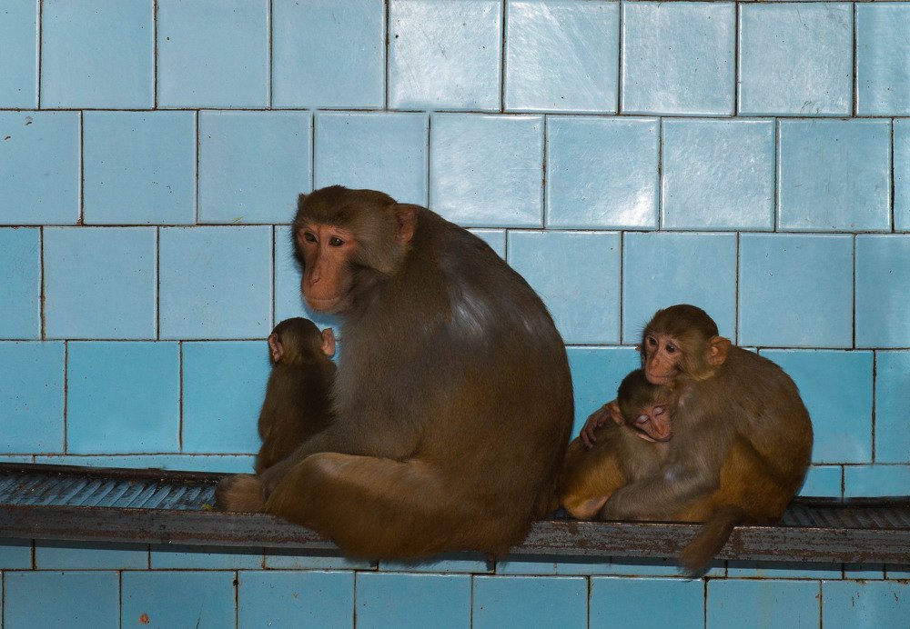 Photograph by Rimma Volchenko