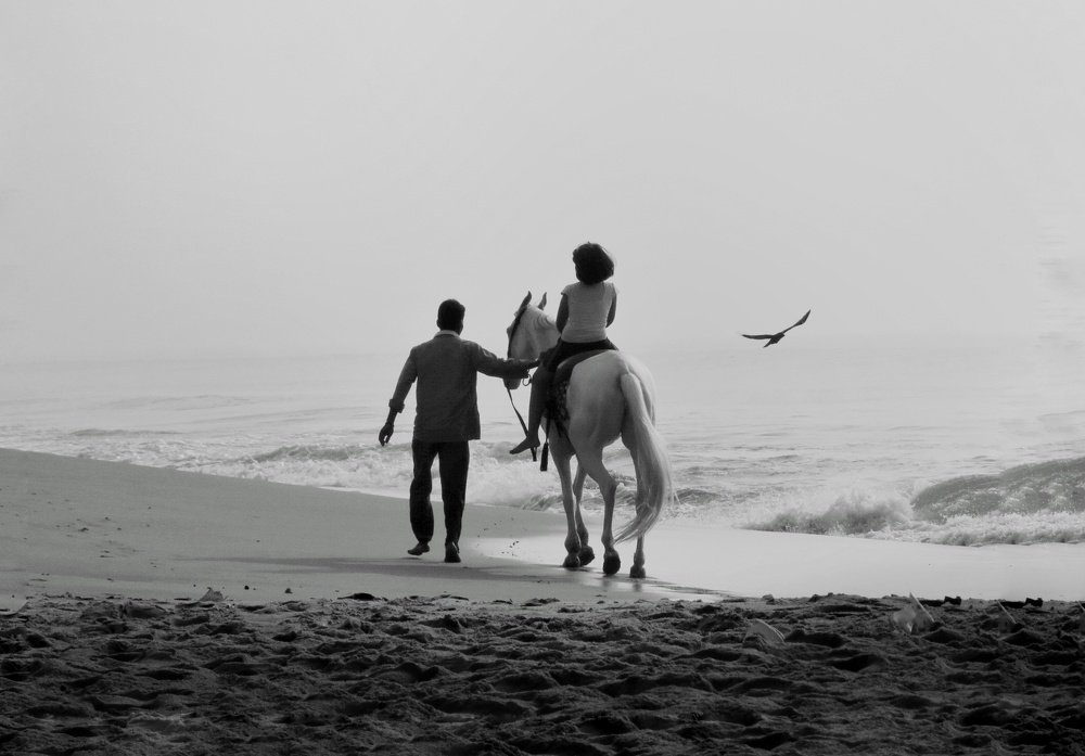 Travel With Little Princes