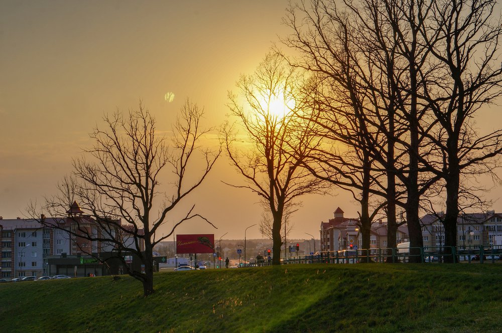 Photograph by Владислав Шигера