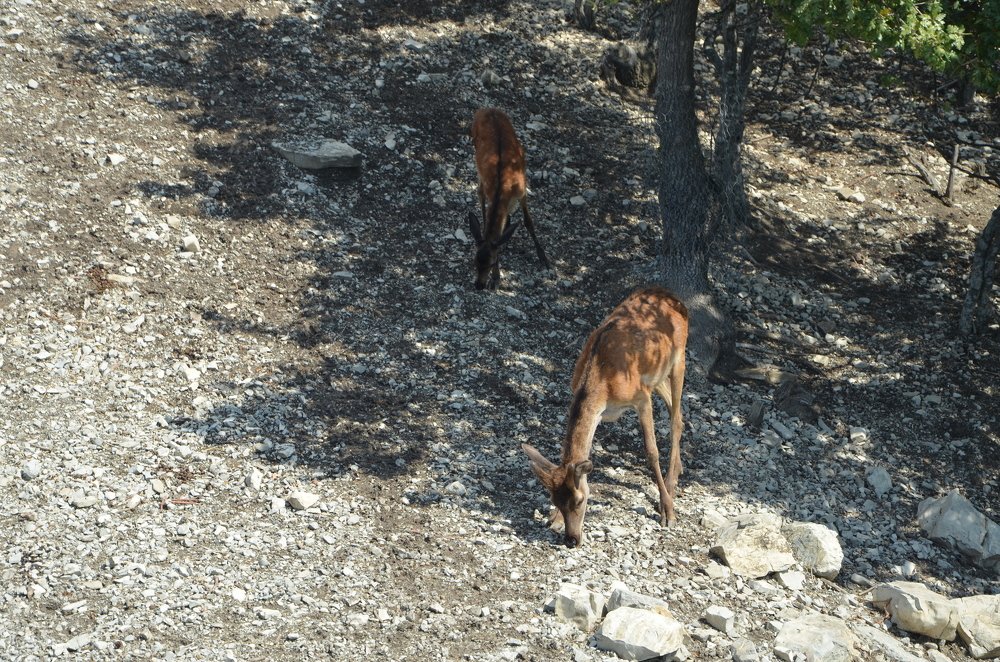 Photograph by Наталья Иванкова