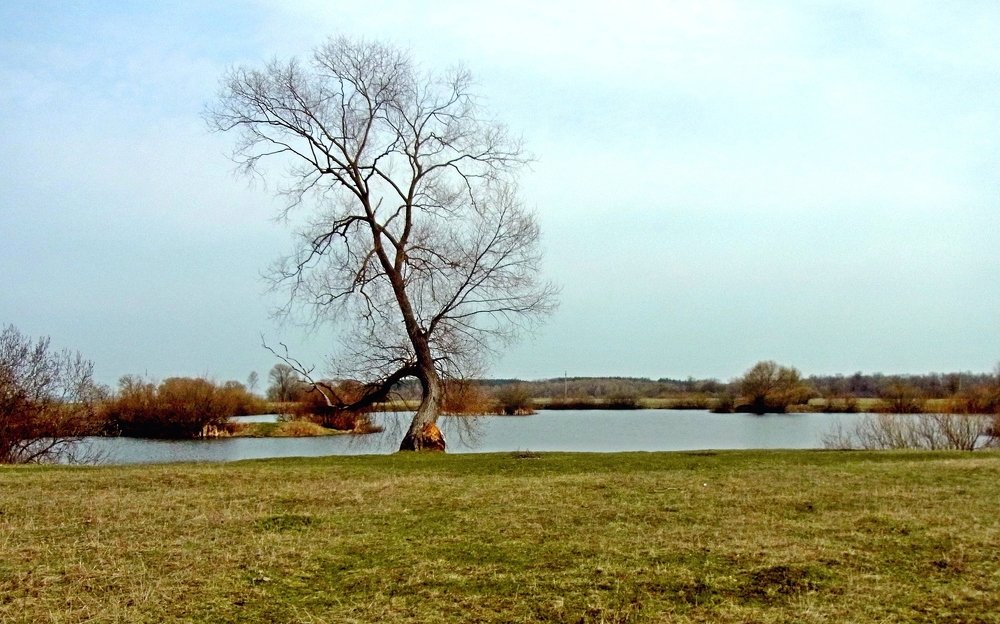 Photograph by леонид натапов