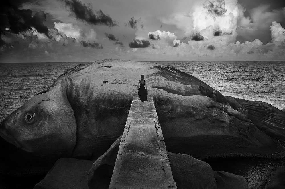 Stone Fish / Каменная рыба