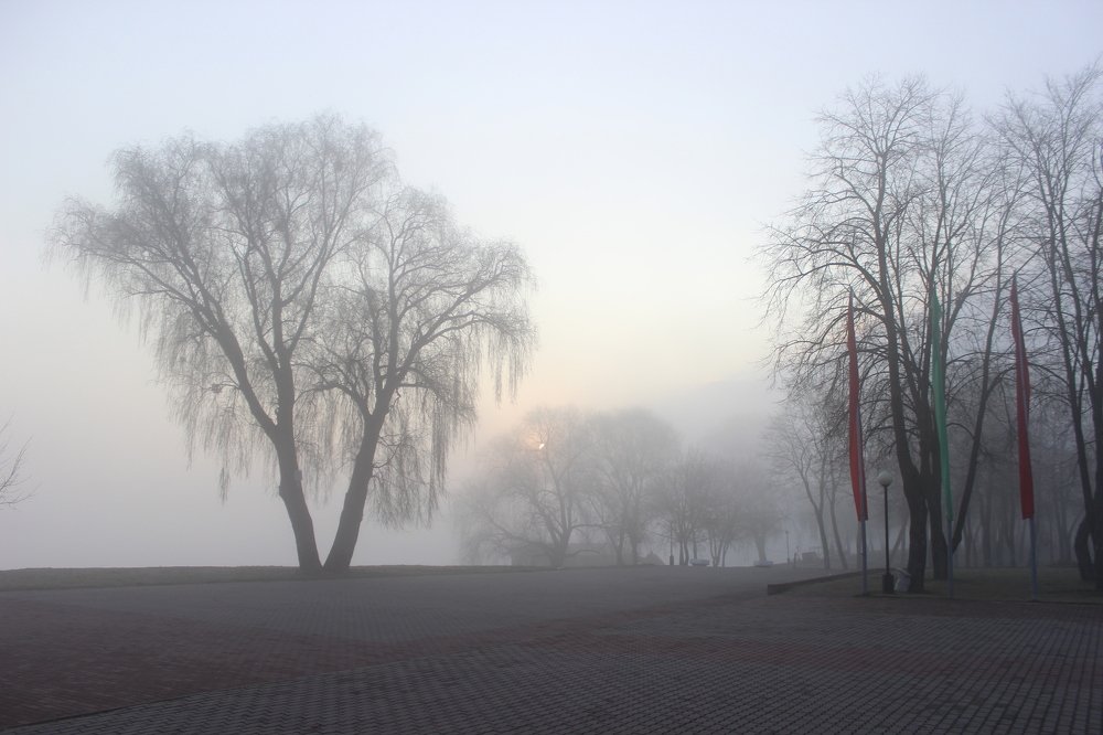 утренняя прогулка