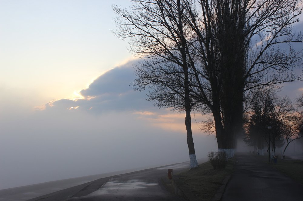 Волшебное утро