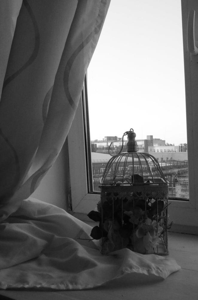 без названия