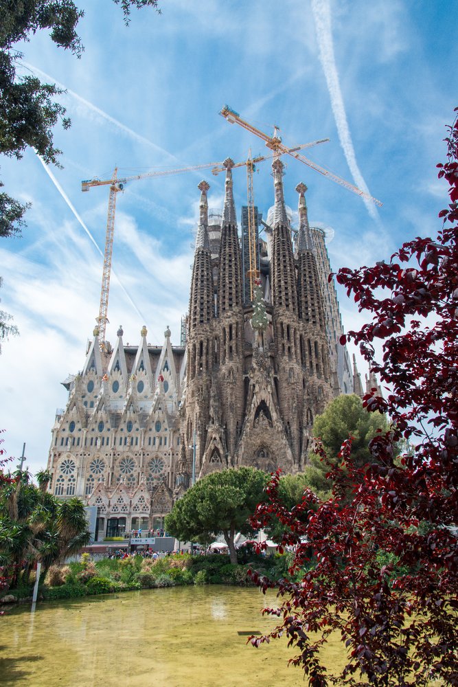 Photograph by Наталья Ковалёва