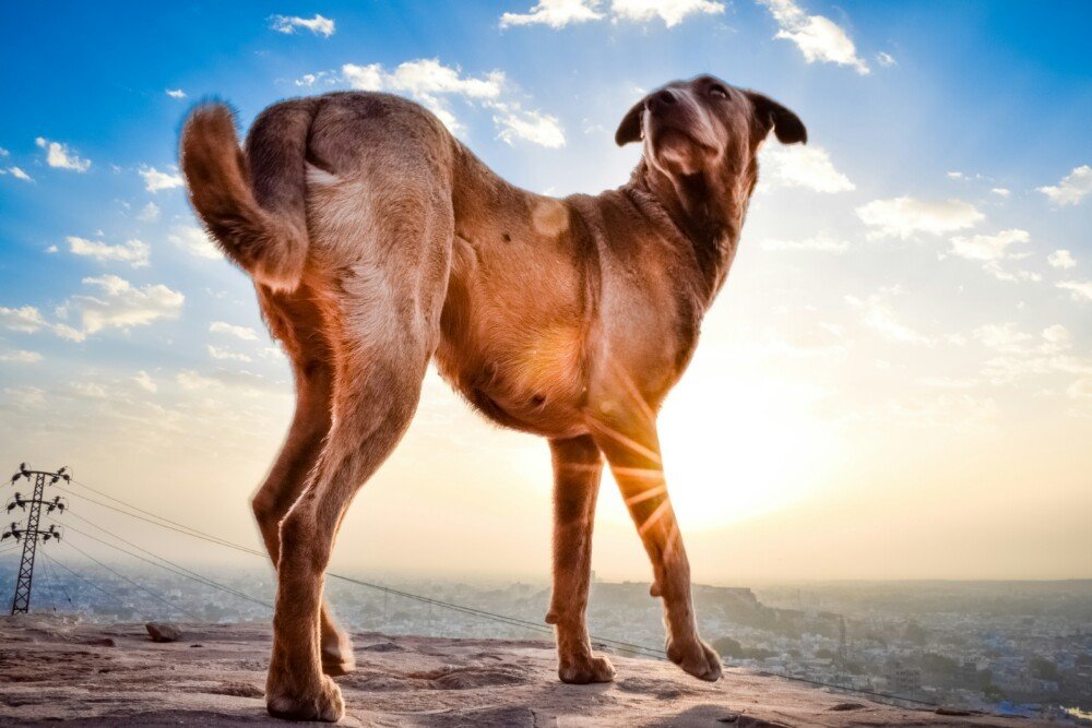 " On the top of the city"