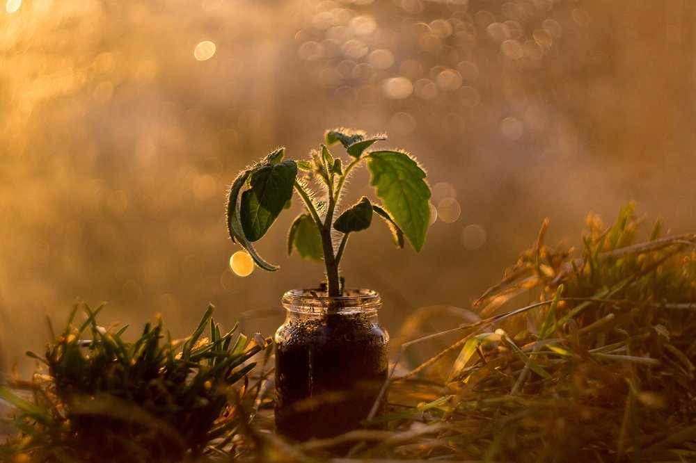 Photograph by Лиза Комарова