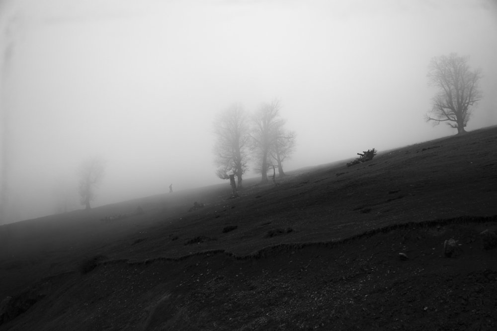 Photograph by Arastoo Zokaei