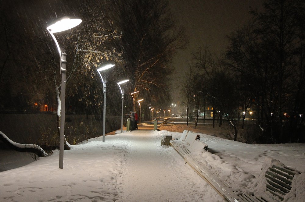 В ночном парке