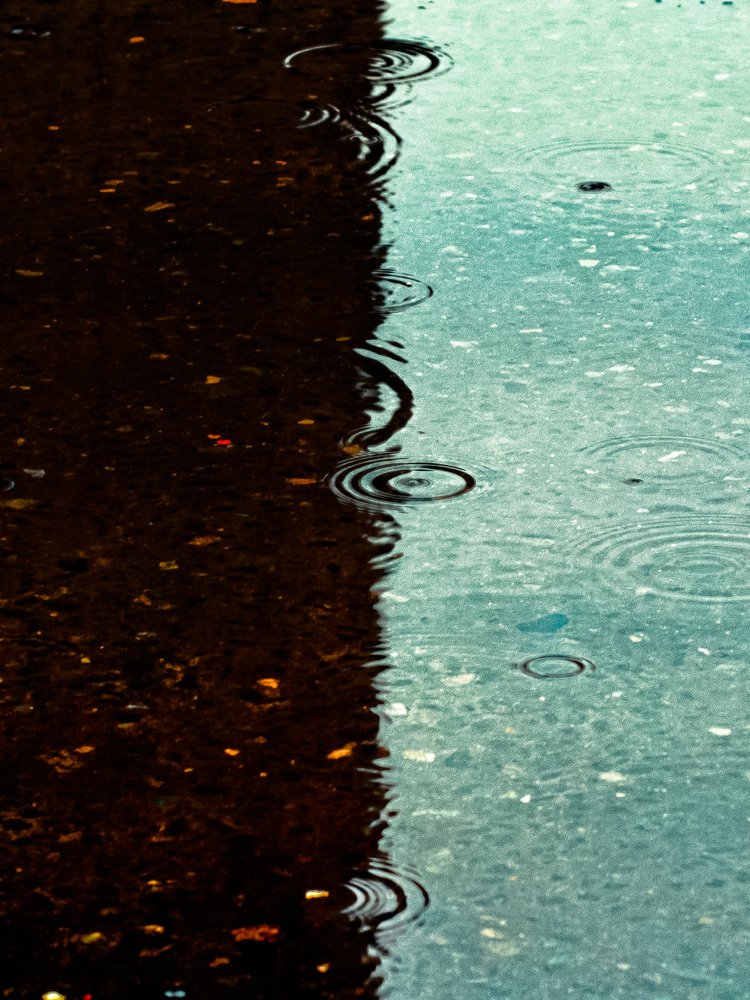 Photograph by Сергей Забиякин