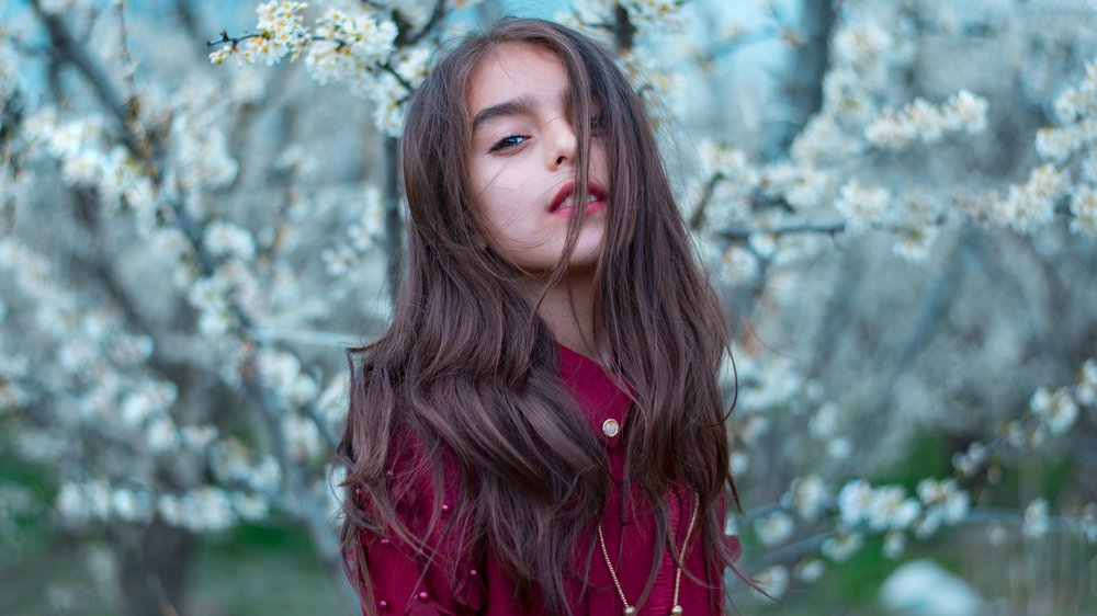 Photograph by Reza Mhassani