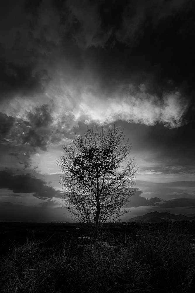 Photograph by Vahid Setoodeh