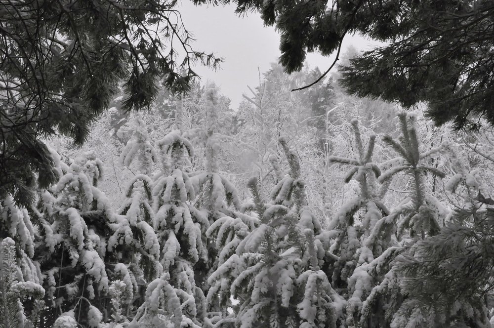 После снегопада