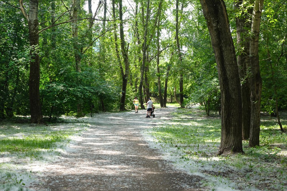 Под пуховою периной