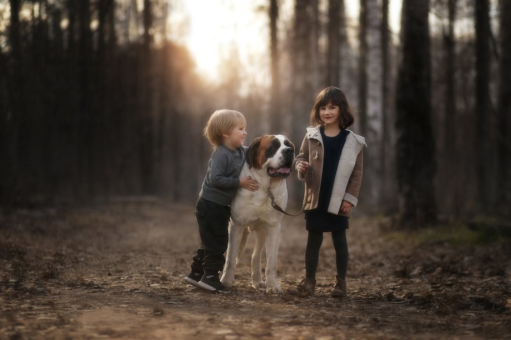 Фотография автора Журавель Саша