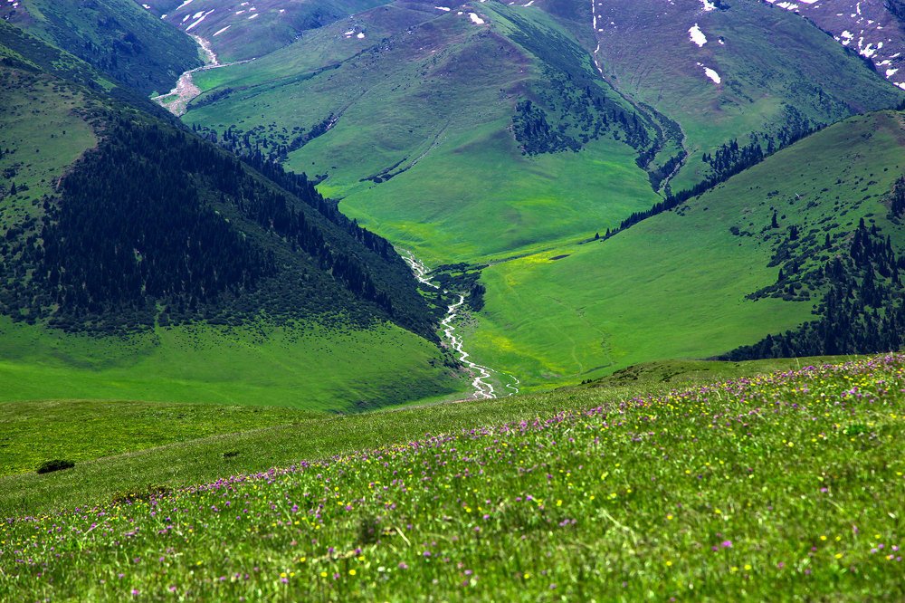 Kzylbulak river. Tien Shan mountains